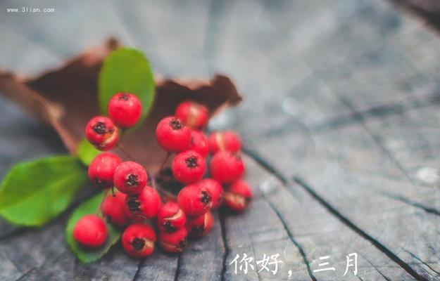 三月你好的句子怎么说（温暖的春光，缤纷的生机）