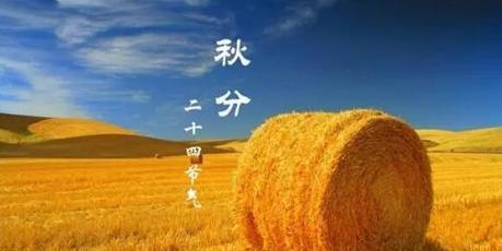 今天秋分怎么发朋友圈（2024秋分快乐朋友圈祝福语好句）