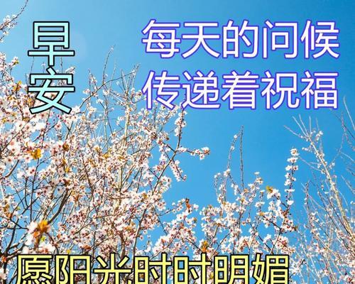 有关人生开心过好每一天的好句子的句子怎么写（开心过好每一天）