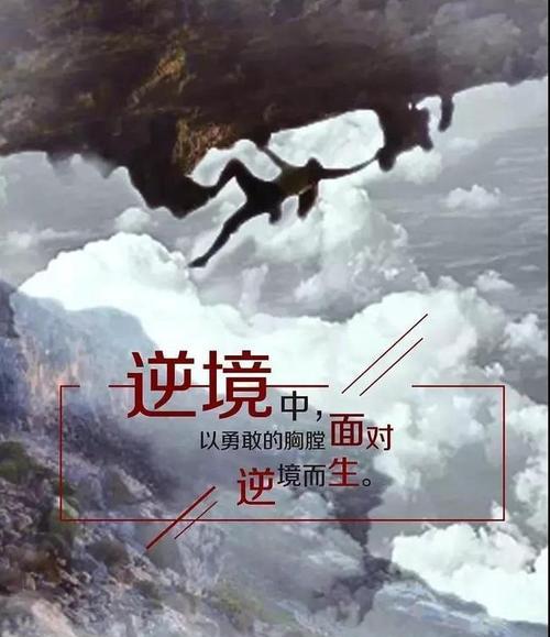 全力以赴的句子怎么写?（全力以赴，执着追求）