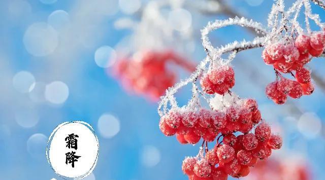 霜降季节的问候语（秋季霜降）