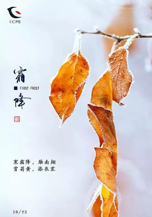 霜降季节的问候语（秋季霜降）