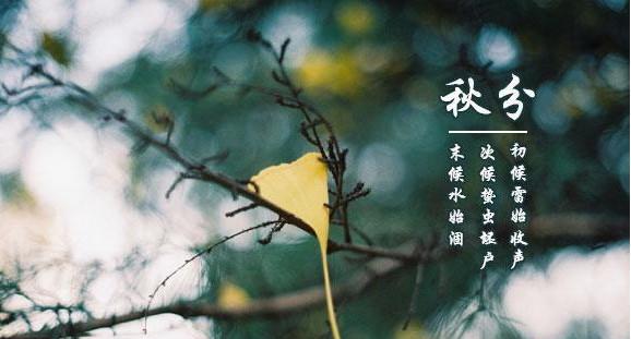 秋分养生语录（秋分养生祝福语送客户）