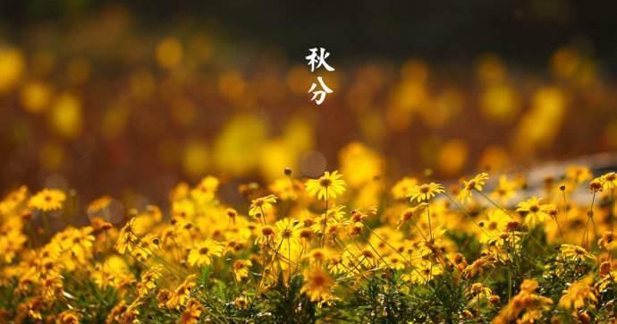 秋分养生语录（秋分养生祝福语送客户）