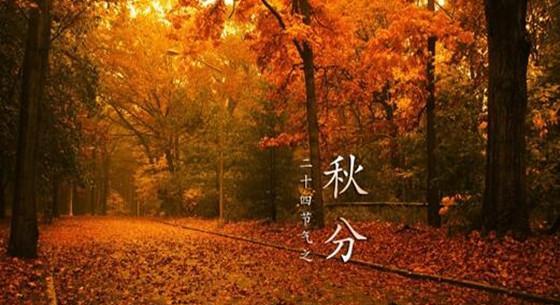 秋分怎么发朋友圈（《秋分祝福》）
