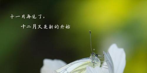 十二月第一天怎么发朋友圈说说（记录时光流转，珍爱每个美好瞬间）
