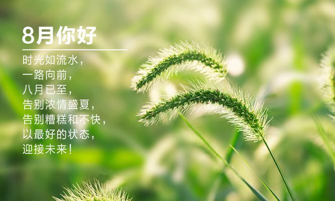 七月再见八月你好说说句子朋友圈怎么发（七月再见，八月你好）