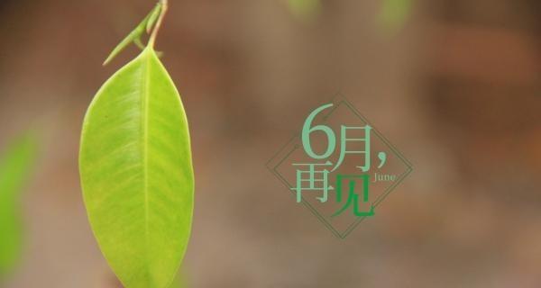 七月第一天怎么发朋友圈（七月第一天，祝福绵绵）