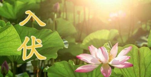 有关2024天气转凉朋友圈说说的句子怎么写（秋意袭来，静待凉爽）