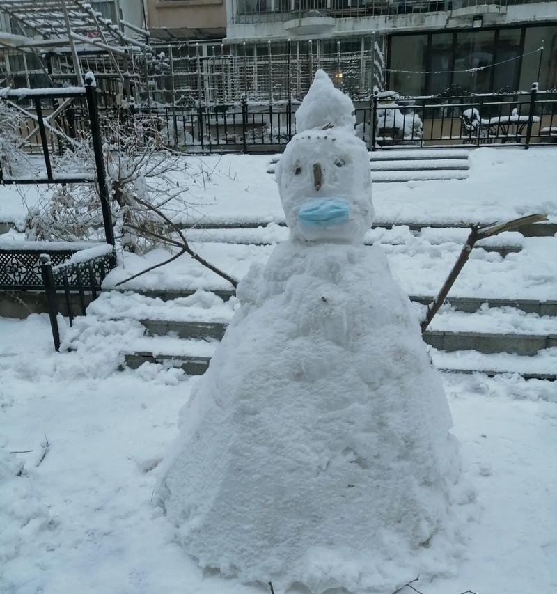 以白雪一片的老家为话题的作文怎么写（《白雪一片的老家》）