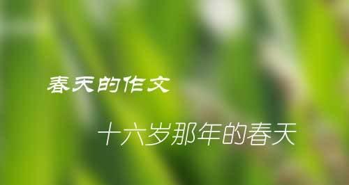 有关幽幽槐花香的作文素材（《幽幽槐花香》）