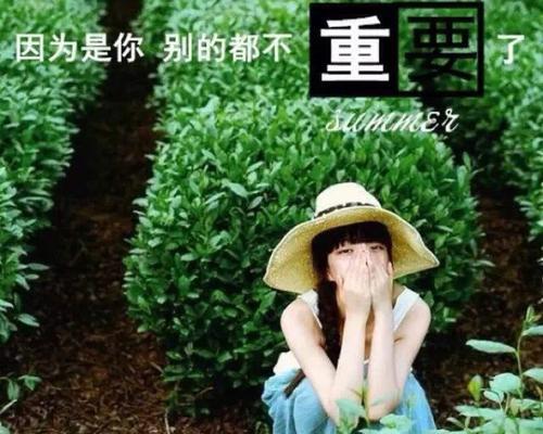 七秒钟的记忆的含义（《短暂的相遇，长久的回忆》）