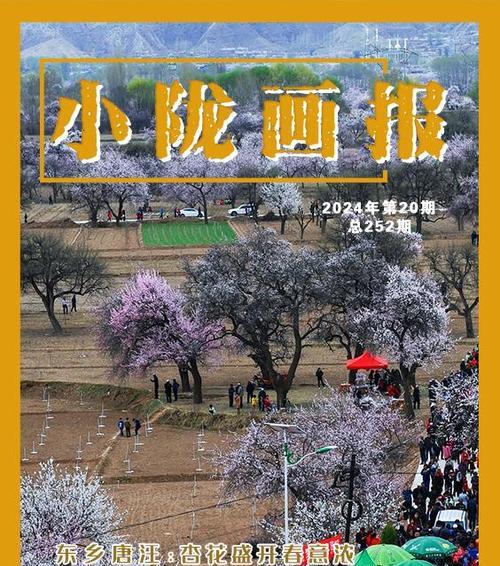 杏花园美景的作文（《花开深处，我与你相遇》）