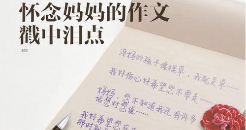 以献给母亲的歌为话题的作文怎么写（《一个儿子对母亲的献礼》）
