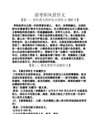 有关冰雪我们同行的作文怎么写（《冰雪同行》）