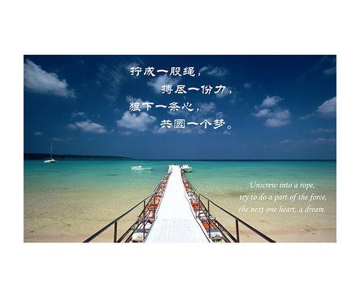 名言体会结合自己的生活（梦想如花，生命如歌）