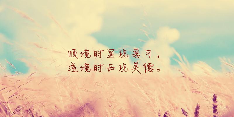 坚强面对生活的诗词（坚强面对生活）