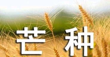 芒种祝福文案（芒种祝福语范例102条）