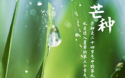 芒种祝福文案（芒种祝福语范例102条）