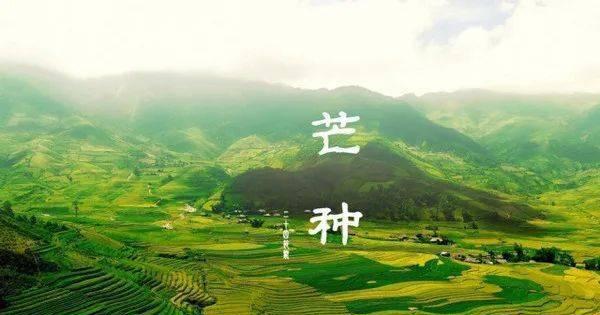 芒种节气寄语（芒种祝福语：98句芒种节气祝福语唯美短句）