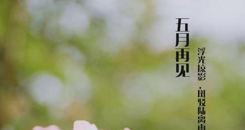 六月你好说说吸引人的那种（荷香飘溢，朋友圈的温暖）