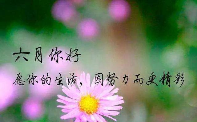 六月你好说说吸引人的那种（温暖如初，心灵相伴）