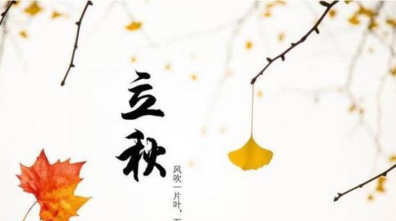 有关立秋的说说怎么发的短句（思绪飘渺的2024立秋）