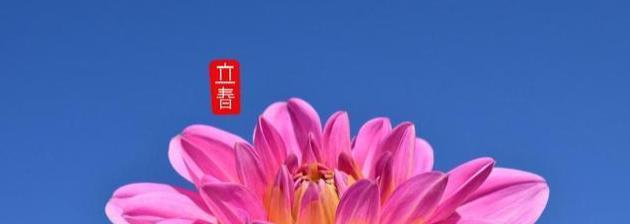 有关立春祝福语简短一句话2024的句子怎么写（送上真挚祝福，祈愿万事顺遂）