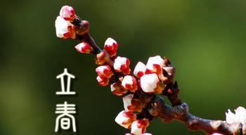 有关立春祝福语简短一句话2024的句子怎么写（送上真挚祝福，祈愿万事顺遂）