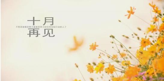 2024年最后一天怎么写朋友圈（回望2023，唯美短句留下美好）