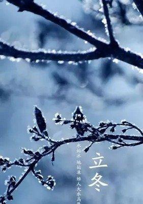 今日立冬朋友圈怎么说（写给冬日里温暖的你）