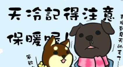 今天降温了是什么意思（寒意无妨）
