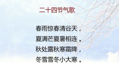 小雪节气温暖的祝福和问候语句（梨花飞舞）