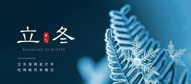 今日立冬朋友圈怎么说（冬至日，雪落枝头）