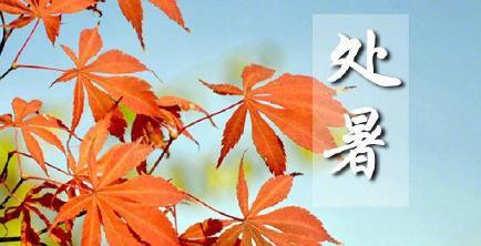 今天是处暑怎么发朋友圈（走进大自然，体验岁月静好）