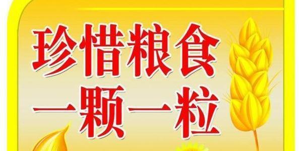 关于节约粮食的宣传语怎么写（用心节约，共享未来）