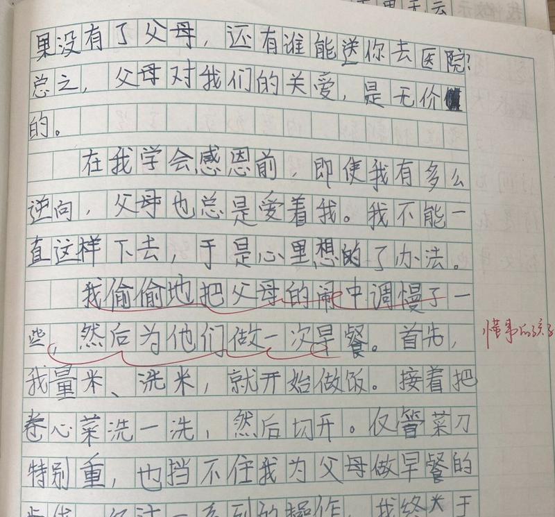 关于家人对我的爱的作文怎么写（《深情的牵绊》）