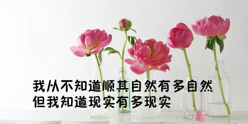 2024已剩下一个月怎么表达（唯美短句倾述心声，拥抱最后一个月）