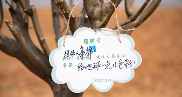 2024植树节活动标语（2023植树节口号短句）