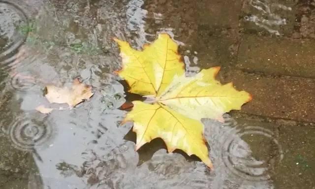 有关立冬的第一场雨朋友圈好句的句子怎么写（立冬的第一场雨朋友圈好句）