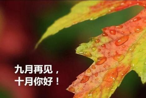 再见2024你好2021怎么发朋友圈（《再见2023，你好心情》）