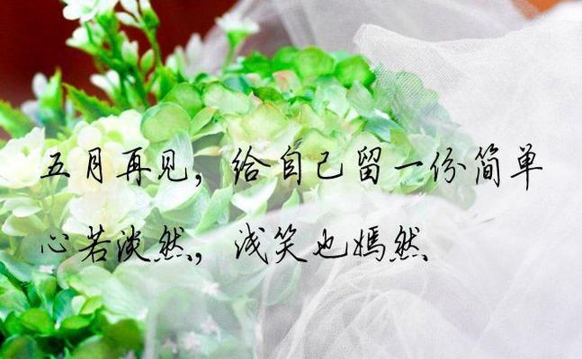 有关六月你好好句优秀例句111条的短句怎么写（六月你好好句优秀例句111条——唯美短句风华绝代）
