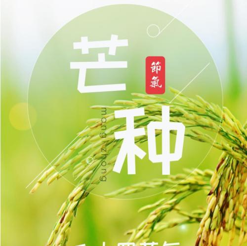 芒种的说（芒种，让我们一起收获美好）