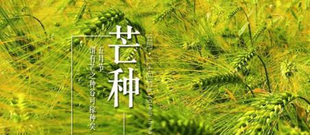 芒种的说（纵情芒种，品味生命）