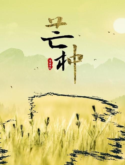 芒种的说（纵情芒种，品味生命）