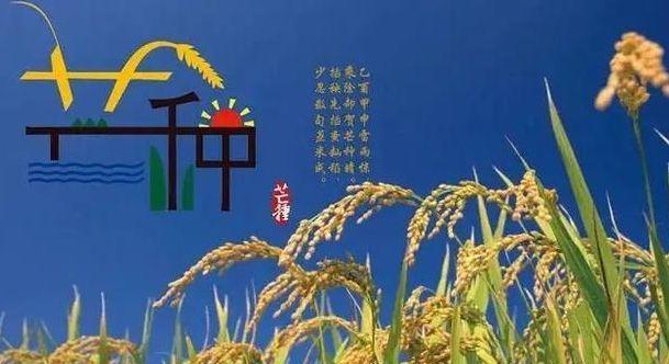 芒种祝福文案（芒种时节，祝福满满）