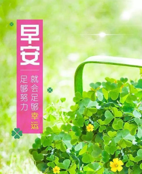 每日开心一笑是什么意思（微笑点亮生命）