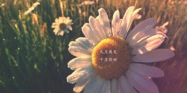九月第一天正能量朋友圈怎么发（2024，九月第一天的正能量）