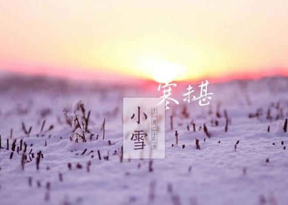 小雪节气温暖的祝福和问候语句（2024小雪节气祝福语）