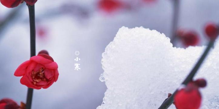 2024年小寒节气时间（清寒岁月，唯美小寒节气）